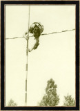 Track and Field, Pole Vault Estampe encadrée