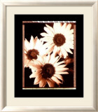 Beautiful Flower IV Poster von Gerard Van Hal