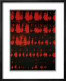 Red Explosion, c.1963 Prints by Andy Warhol
