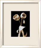 Fleur en noir et blanc VI Art par Edoardo Sardano