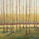 Grove of Trees Print by Libby Smart
