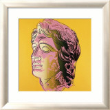 Alexander the Great, c.1982 (Pink Face) Kunst af Andy Warhol