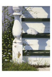 Old House by the Sea Posters by Jack Saylor