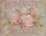 Romantic Blooms Poster by Debi Coules