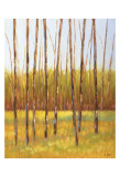 Tall Trees I (left) Poster von Libby Smart
