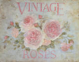 Vintage Rose Prints by Debi Coules