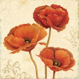 Poppy Boquet II Affiches par Daphne Brissonnet