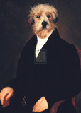 Ancestral Canines I Art by Thierry Poncelet