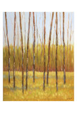 Tall Trees II (right) Plakater af Libby Smart Tall Trees II (right) Plakater af Libby Smart