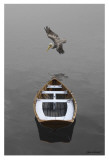 Time Stopped II Prints by Carlos Casamayor