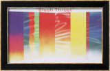 Slush Thrust, 1970, signed Særudgave - indrammet tryk af James Rosenquist Slush Thrust, 1970, signed Særudgave - indrammet tryk af James Rosenquist