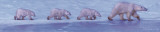 Walking the Edge Plakater av John Banovich