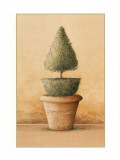 Topiaire II Print by Laurence David