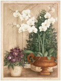 Grande Orchidée I Prints by Vincent Jeannerot