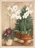 Grande Orchidée I Posters por Vincent Jeannerot