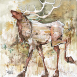 Oh Bull! Kunst von Jamie Carter