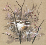 Mésange Print by Pascal Cessou