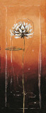Allium I Poster by Matilda Ellison