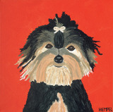 Yorkie Poster by Holly Hempel