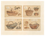4 Paniers (Vendange) Prints by Laurence David