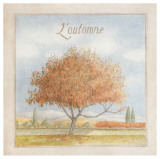 Arbre en Automne Prints by Vincent Perriol