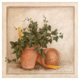 Lierre et Pots I Posters by Vincent Jeannerot