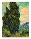 Cypresses, c.1889 Giclée-Druck von Vincent van Gogh