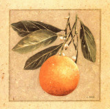 Orange I Prints by Laurence David