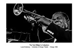 Louis Armstrong Posters par Ted Williams