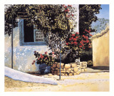 Jasmine and Geraniums Art by Ilana Richardson