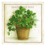 Fraise des Bois Art by Vincent Jeannerot