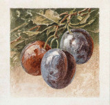 Prunes Posters by Laurence David