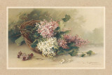 Lilas Art by C. Klein