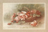 Roses Prints by C. Klein
