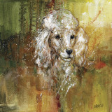 White Poodle Prints by Jamie Carter