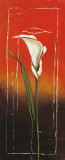 Calla-1 Affiches par Matilda Ellison