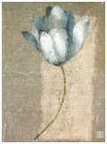 Tulipe Bleue I Prints by Philippe Paput