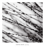 Jewel Drops Posters by David Gray