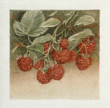 Framboises Posters by Laurence David