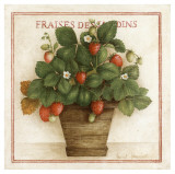 Fraises des Jardins Láminas por Vincent Jeannerot