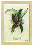 Cynara Art by Vincent Jeannerot