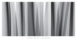 Yucca Leaves ポスター - スティーヴン・N.・マイヤーズ