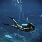 Woman Scuba Diving in Ocean Photographic Print by Dennis Hallinan
