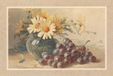 Raisin Noir Print by C. Klein