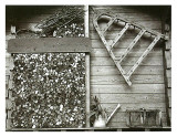 La Provision de Bois Prints