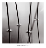 Four Reeds Art by David Gray