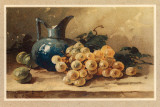 Raisin Blanc Art by C. Klein