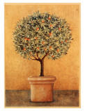 Oranger I Prints by Laurence David