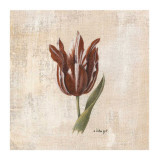 Tulipes III Posters by Sylvie Langet