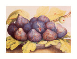Still Life of Figs Affiches par Giovanna Garzoni